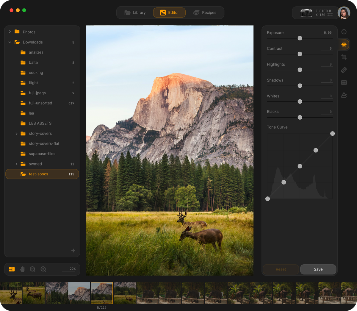 Jepex editor — photo browser with tone curve and filmstrip